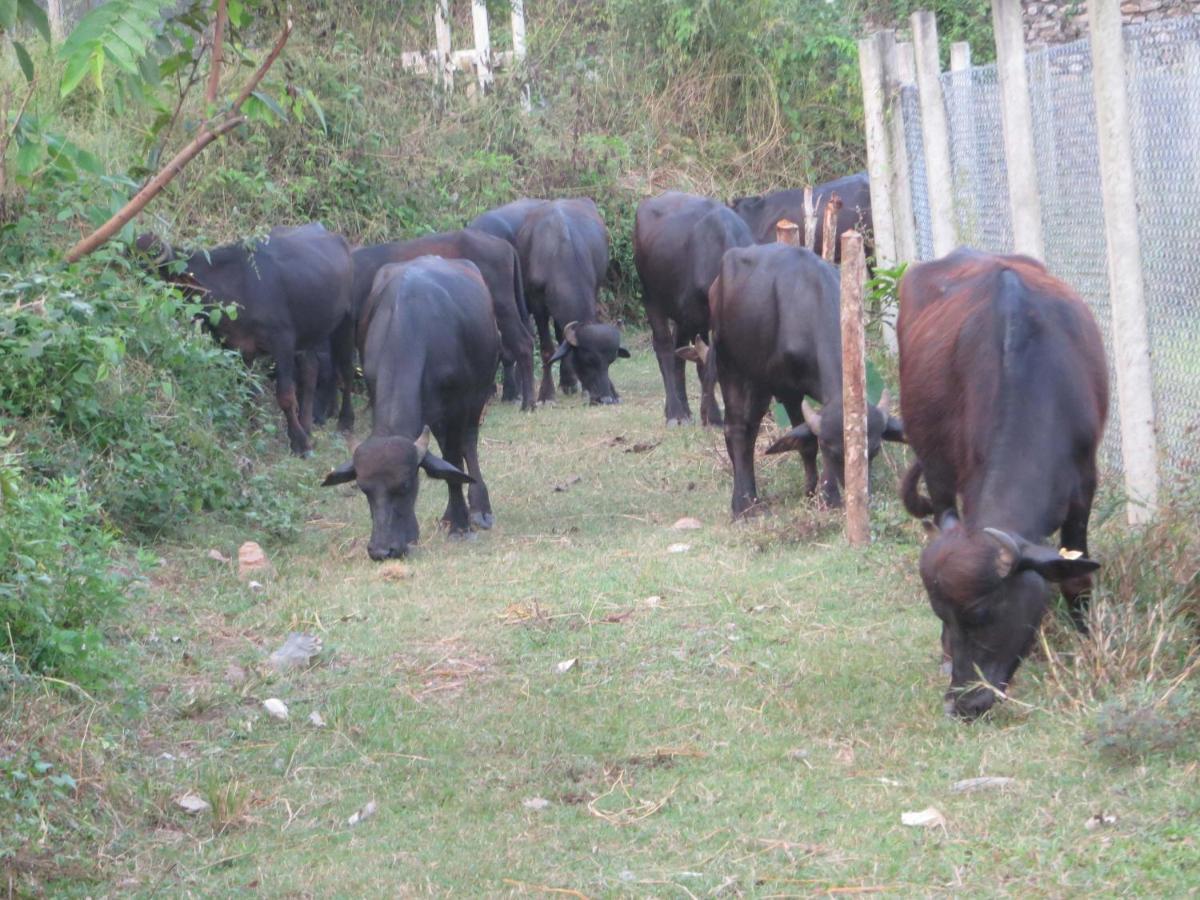 Gorkha Organic Agro Farm Apartment Exterior photo